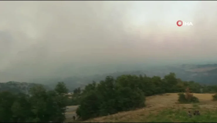 Uşak’taki orman yangını nedeniyle Manisa’da 1 köy boşaltıldı